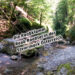 Die Raabklamm Raab Raabtal in der Steiermark Österreich