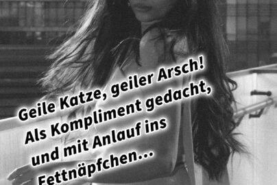 Geile Katze, geiler Arsch! Als Kompliment gedacht, und mit Anlauf ins Fettnäpfchen...