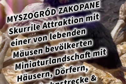 MYSZOGRÓD ZAKOPANE Skurrile Attraktion mit einer von lebenden Mäusen bevölkerten Miniaturlandschaft mit Häusern, Dörfern, Eisenbahnstrecke & Skigebiet