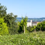 Arkade trije ribniki Maribor Mestni Park Slowenien #visitmaribor #visitslovenia Stadtpark