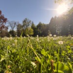 Arkade trije ribniki Maribor Mestni Park Slowenien #visitmaribor #visitslovenia Stadtpark inkl. 37 Reisetipps