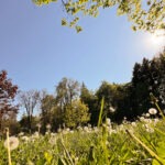 Arkade trije ribniki Maribor Mestni Park Slowenien #visitmaribor #visitslovenia Stadtpark inkl. 37 Reisetipps